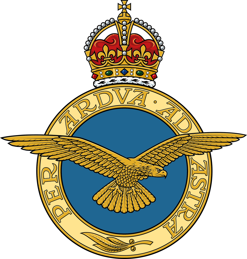 RAF Cap Case Kings Crown